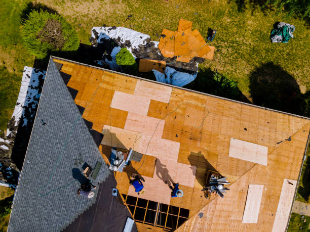 Best Metal Roofing Contractor  in La Vergne, TN
