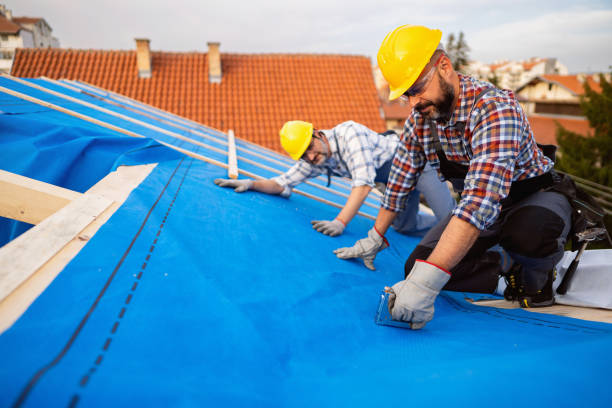 Best Flat Roof Repair Services  in La Vergne, TN