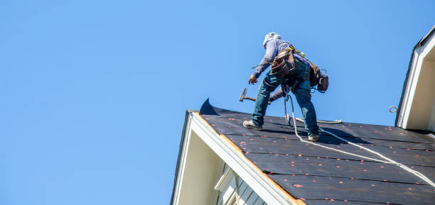 Best Roof Leak Repair  in La Vergne, TN